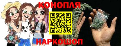 прущие грибы Будённовск