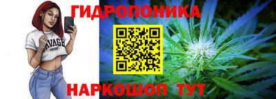 прущие грибы Будённовск
