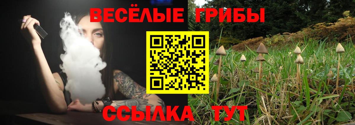 Галлюциногенные грибы мицелий Кузнецк