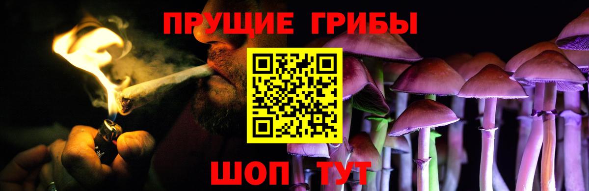 продажа наркотиков  Галлюциногенные грибы мухоморы  Кузнецк  Вход с VPN  Псилоцибиновые грибы MAGIC MUSHROOMS 